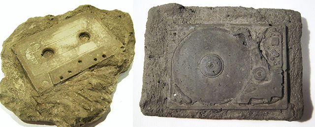 modern fossils 1 1